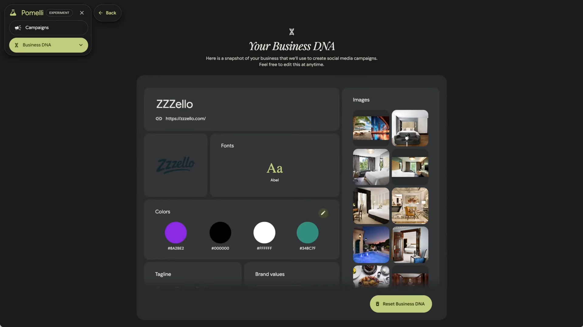 Business DNA dashboard showing logo, colors, fonts